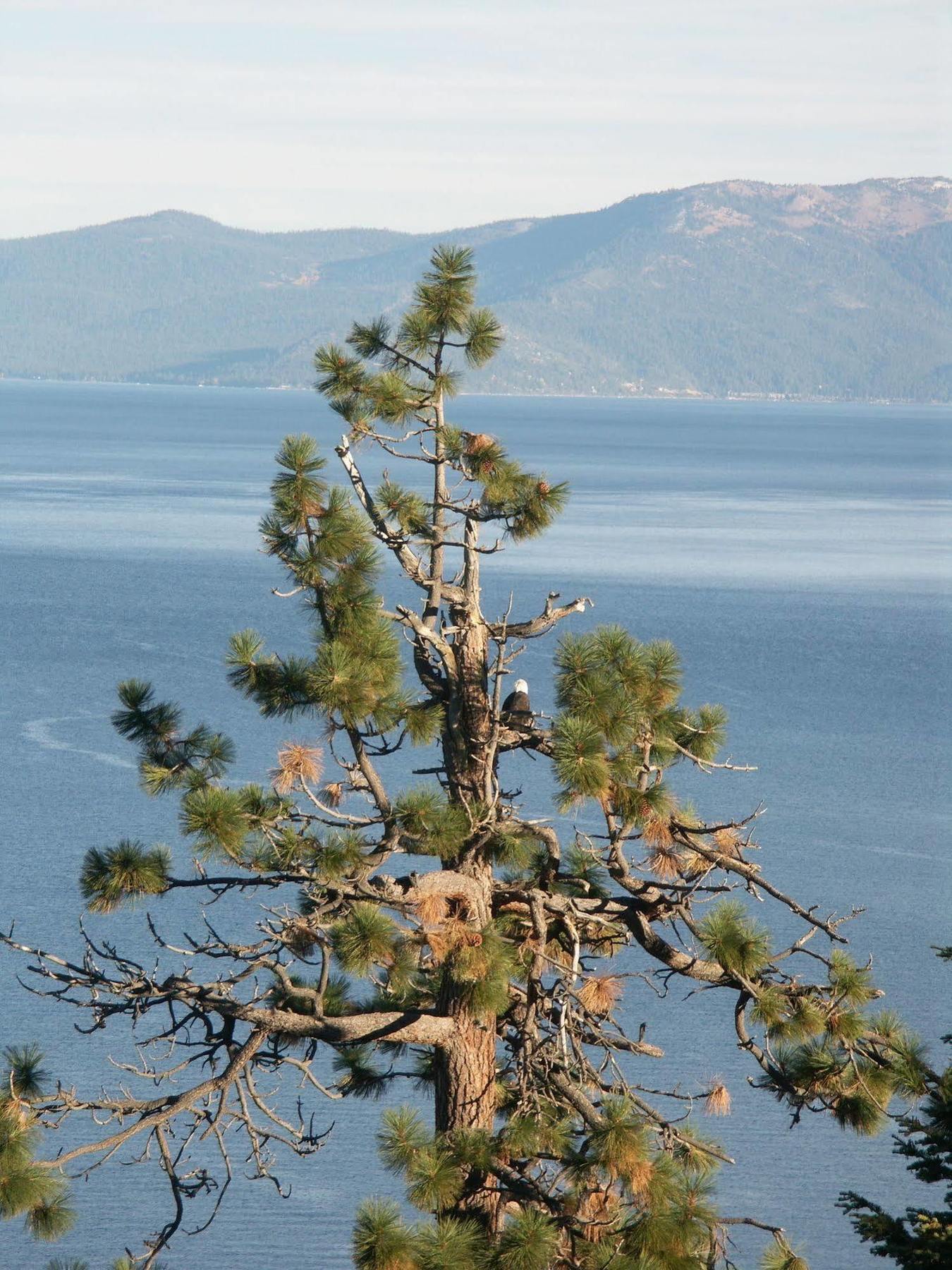 Where Eagles Fly Bed & Breakfast Elk Point Экстерьер фото